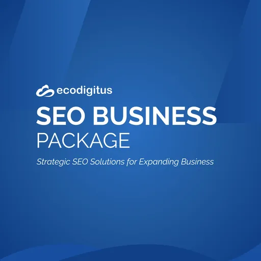 SEO Business Package