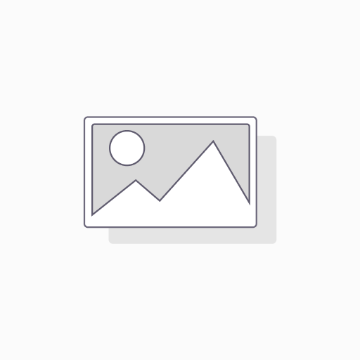 Visio 2019 lifetime (1device)