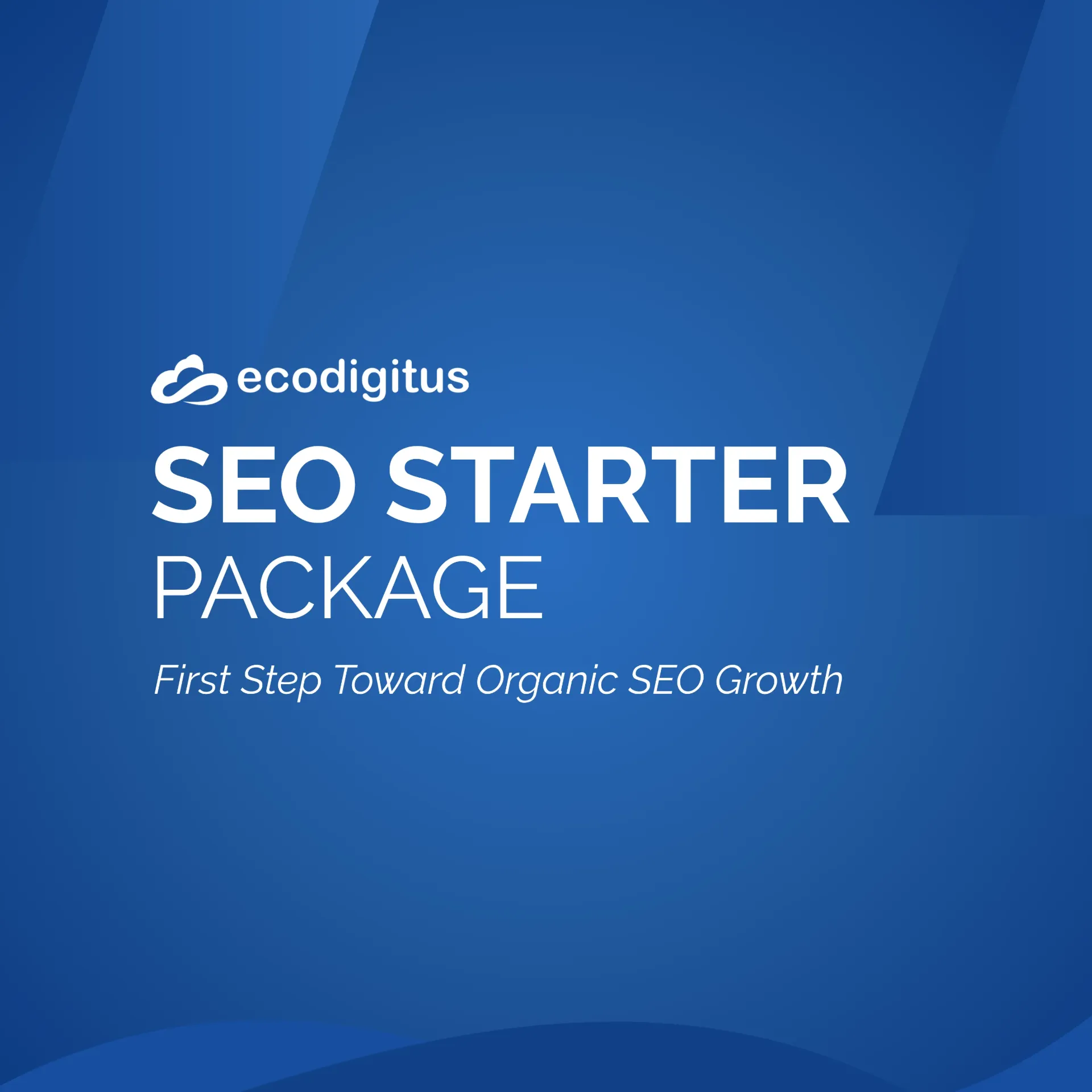 SEO Starter Package