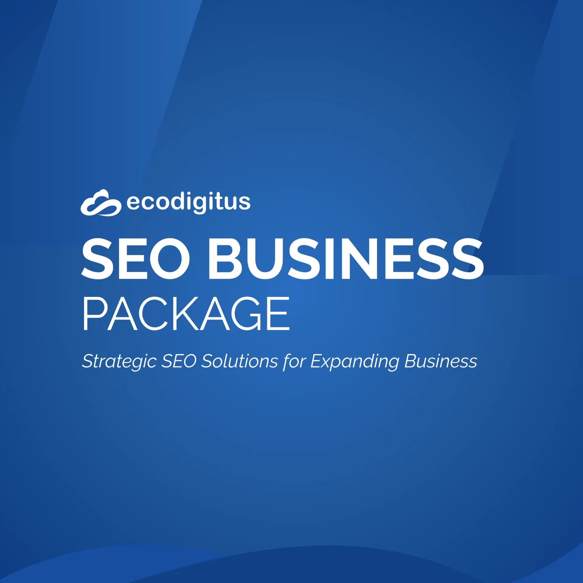 SEO Business Package